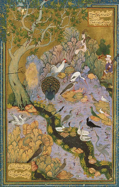 نقاشی منطق‌الطیر از حبیب‌الله. هدهد (در وسط سمت راست) به پرندگان راه صوفیانه می‌آموزد.